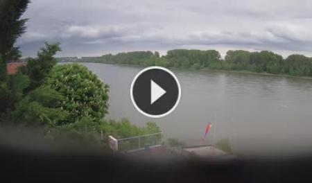 Вид на Рейн (крупнейшую реку в Европе) из района Зюрт в Кельне
