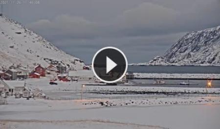 【LIVE】 Skarsvåg - Capo Nord | SkylineWebcams