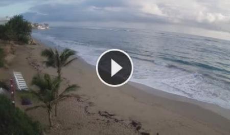 Live Cam Bozo Beach - Cabarete | SkylineWebcams