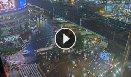 Tokio - Shinjuku | SkylineWebcams