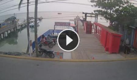 Beach House Roatan Live Stream Cam New In Honduras