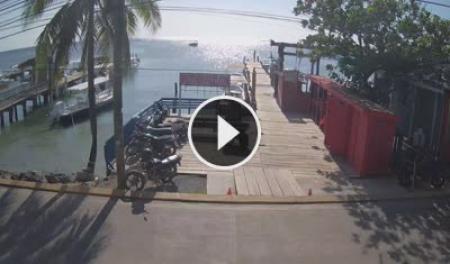 Beach House Roatan Live Stream Cam New In Honduras