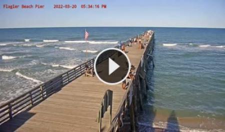 Tsunami live beach cam