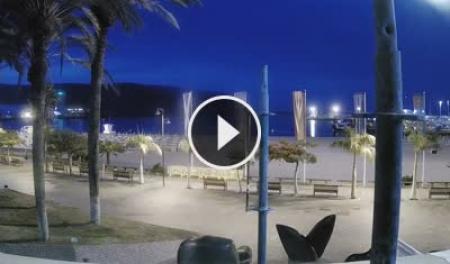 Kamera na żywo Playa de Los Cristianos - Teneryfa | SkylineWebcams