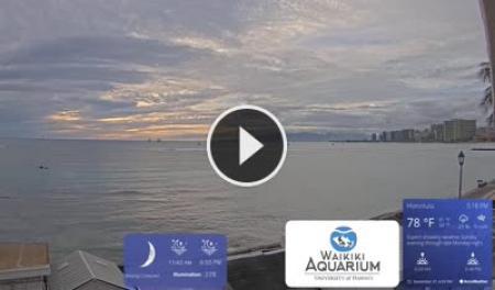 【LIVE】 Honolulu, Hawaii | SkylineWebcams