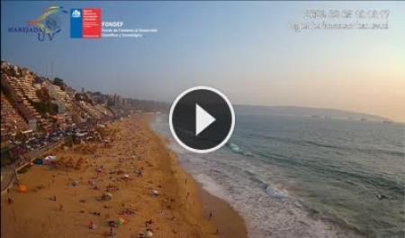 【LIVE】 Viña del Mar - Chile | SkylineWebcams
