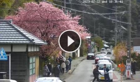 【LIVE】 Улицы Сидзуока - Япония | SkylineWebcams