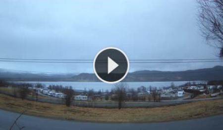 Webcam Torsmoen, Lenvik, Troms, Norwegen