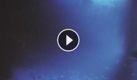 LIVE - Aquarium Poema del Mar