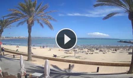 【LIVE】 Can Pastilla - Mallorca | SkylineWebcams