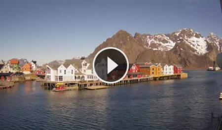 Live Cam Lofoten Islands - Henningsvær