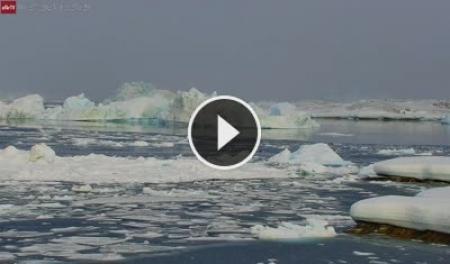 【LIVE】 Icerberg di Ilulissat - Groenlandia | SkylineWebcams