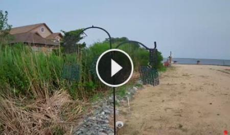 Live webcam view of Somers Point Bird Feeder Cam