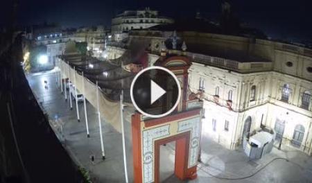 【LIVE】 Seville - Plaza de San Francisco | SkylineWebcams