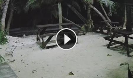 Live Cam Seychelles - Anse Parnel Takamaka | SkylineWebcams