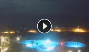Paseo marítimo con palmeras en Playa de Las Américas, Tenerife