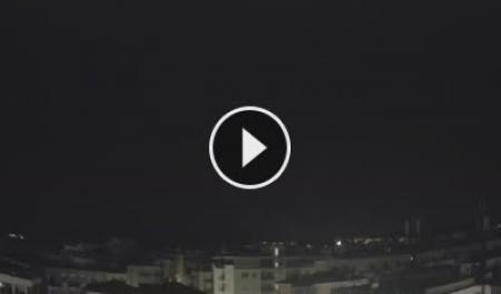 Live Webcam