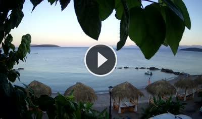 Live Webcam