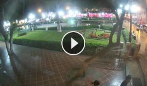 Live Webcam