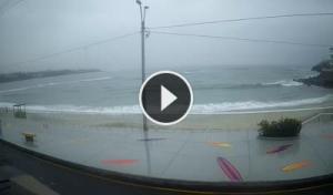 Live Webcam