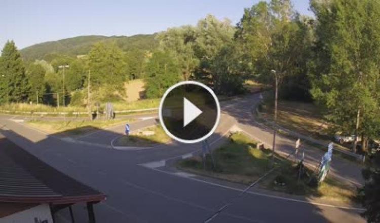 Live Webcam