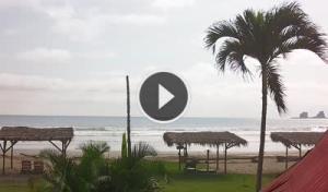 Live Webcam