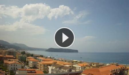 Live Webcam