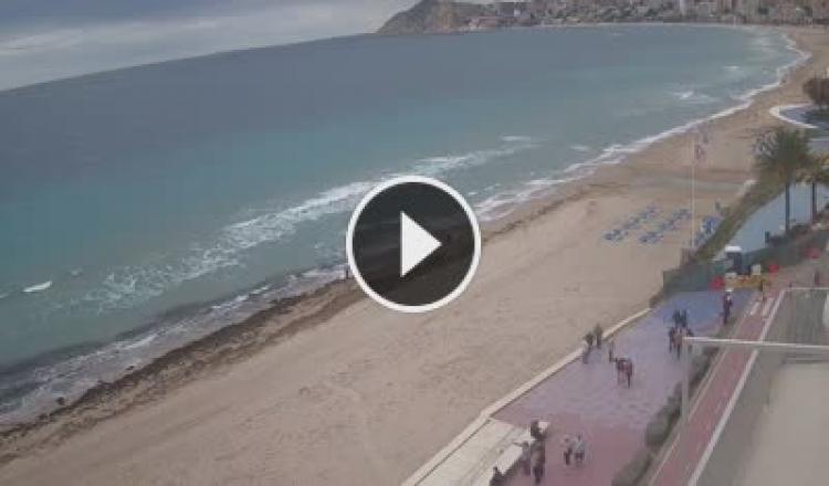 Benidorm - Playa de Poniente - Puerto cámara web en vivo